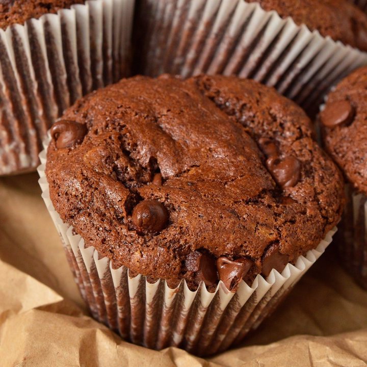 large chocolate muffin with chocolate chips peaking out