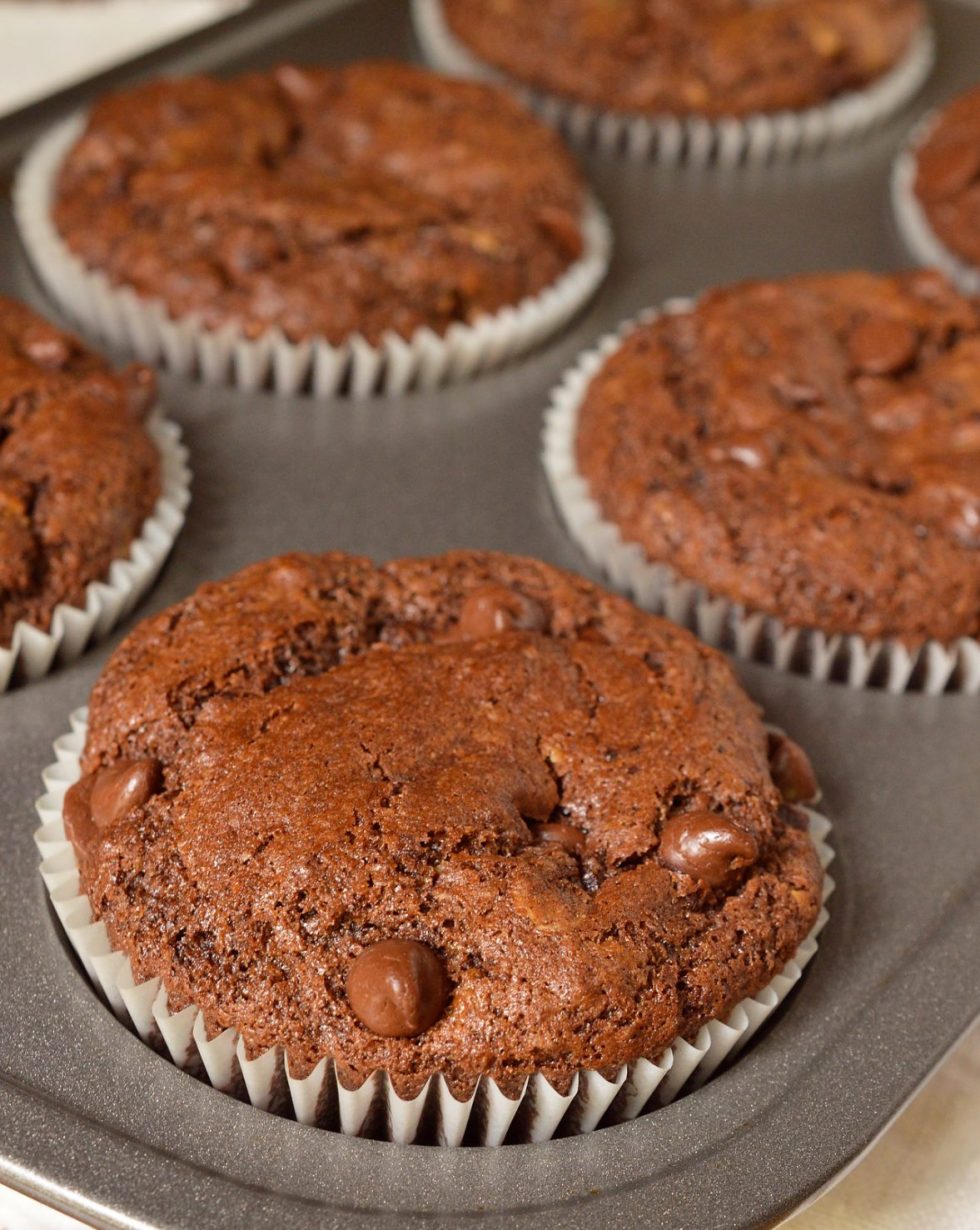 Double Chocolate Chip Muffins