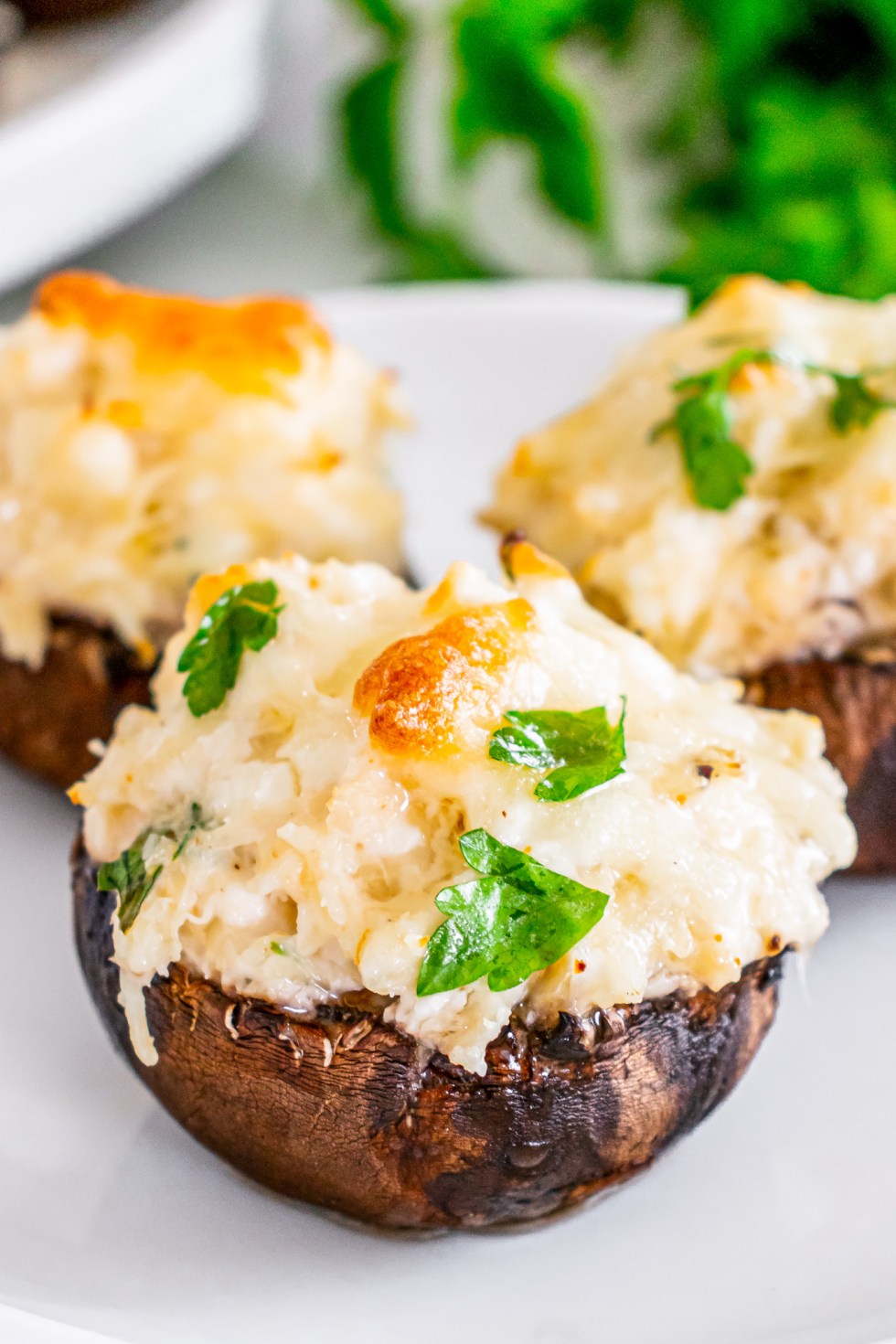 mushroom stuffed with crab filling