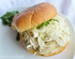 pulled chicken sandwich on white plate