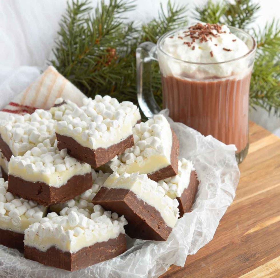 chocolate fudge next to hot cocoa mug