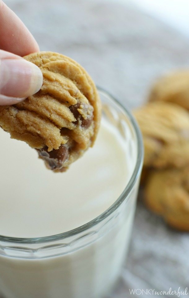 hand dipping small cookie into glass of milk