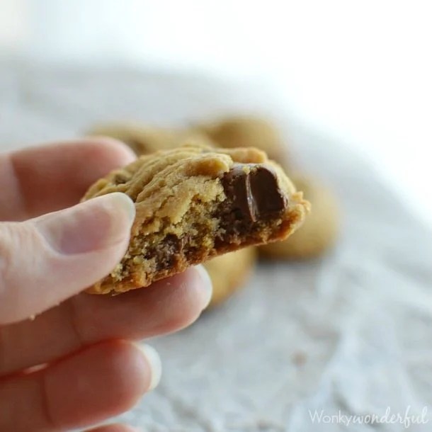 hand holding cookie with bite taken out