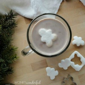 Gingerbread Spiced Hot Cocoa Mix Recipe - Homemade Hot Chocolate - wonkywonderful.com