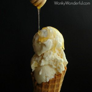 Honey Ricotta Ice Cream ::: wonkywonderful.com