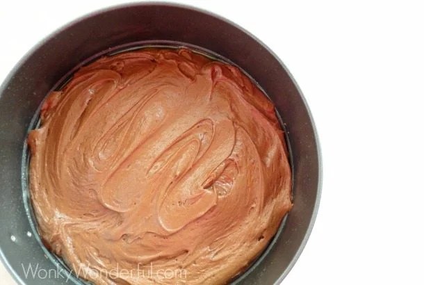 brownie batter in bottom of round pan