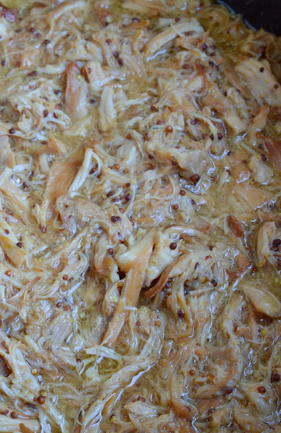 shredded chicken in crockpot