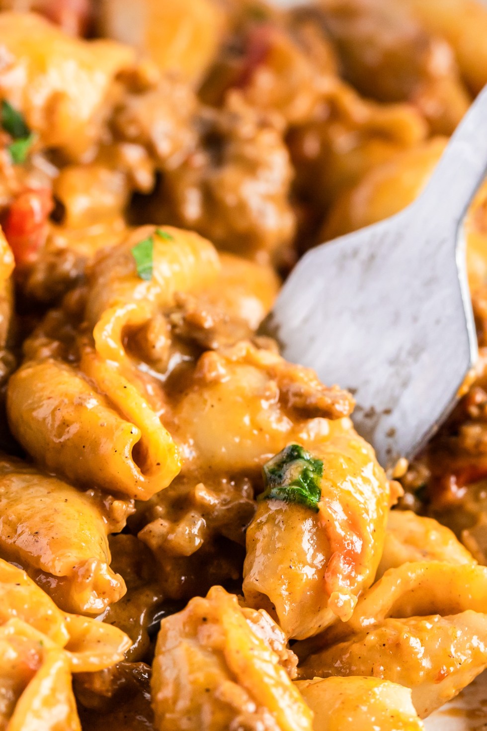 fork in prepared pasta dish