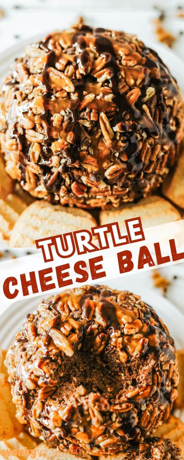 turtle cheese ball pinnable image